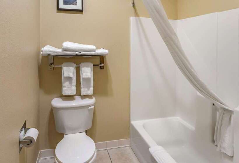 فندق Comfort Inn Evanston I 80