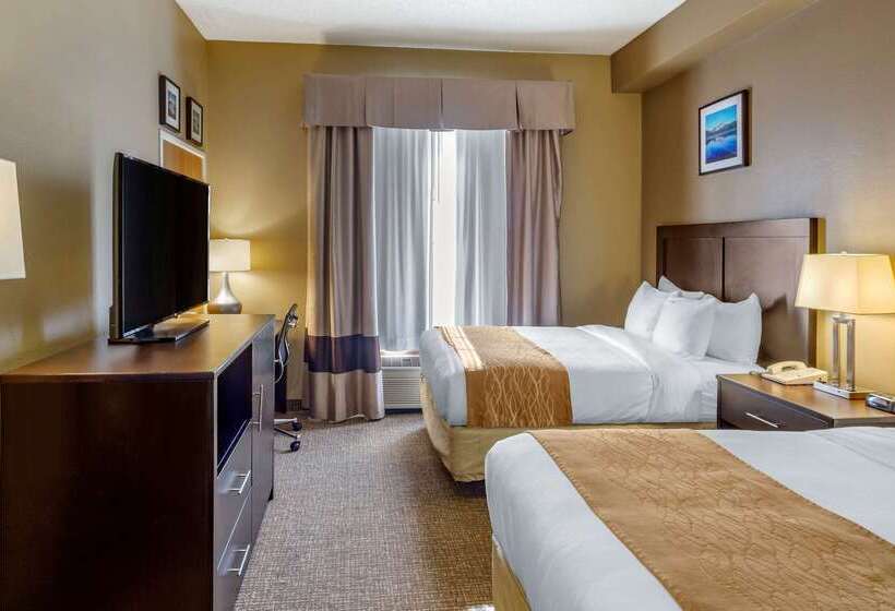 فندق Comfort Inn Evanston I 80