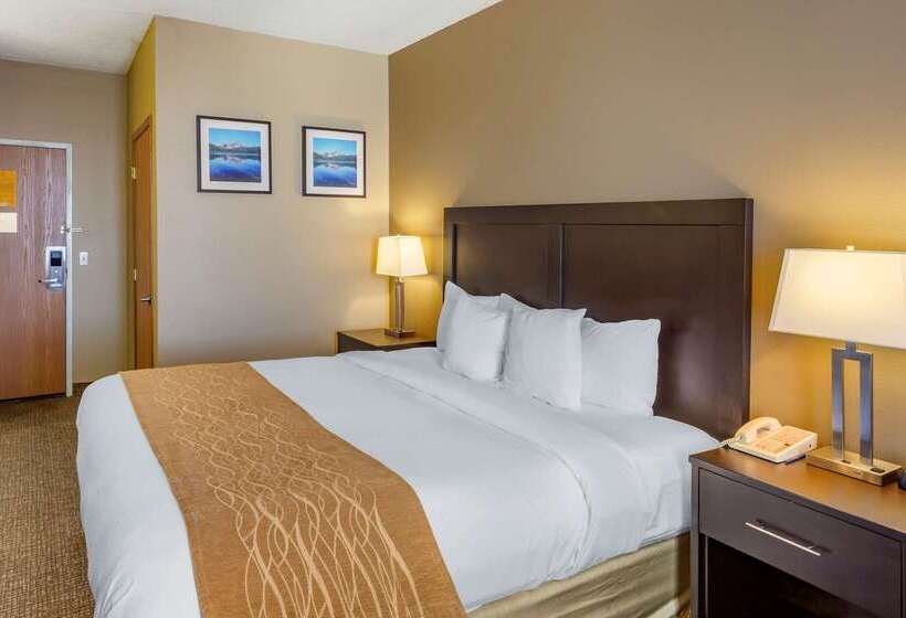 فندق Comfort Inn Evanston I 80