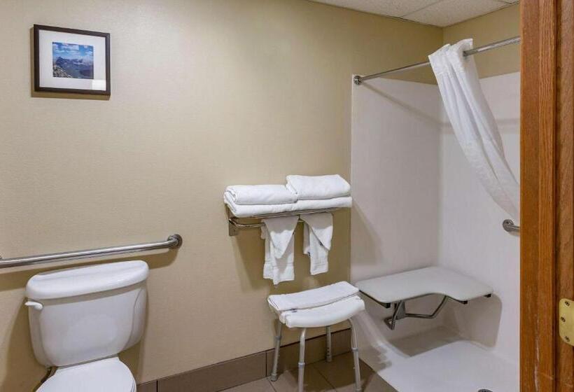 فندق Comfort Inn Evanston I 80