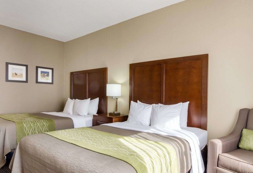 בית מלון כפרי Comfort Inn Garden City