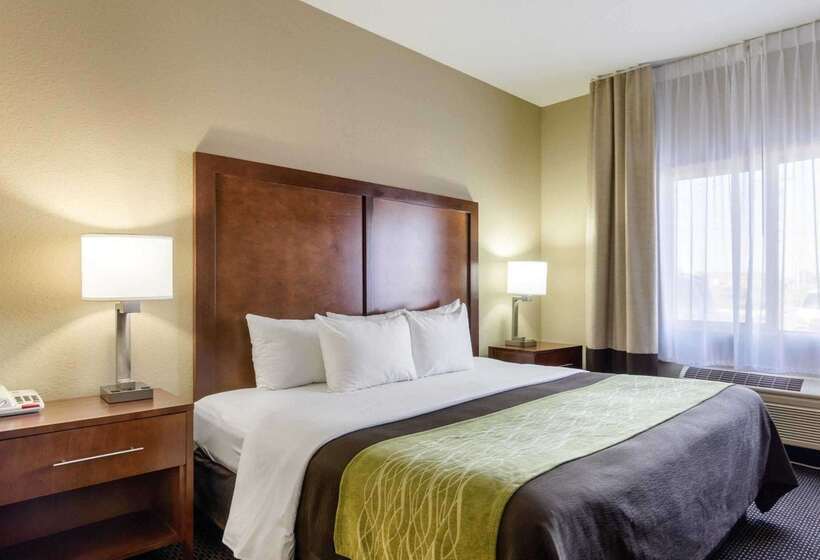 فندق Comfort Inn Garden City