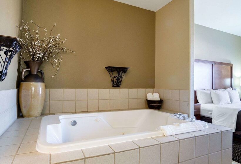 فندق Comfort Inn Garden City