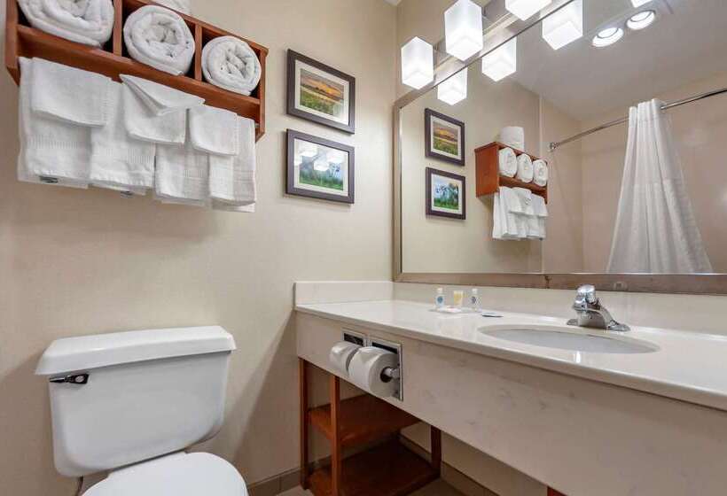 酒店 Comfort Inn Grand Island North