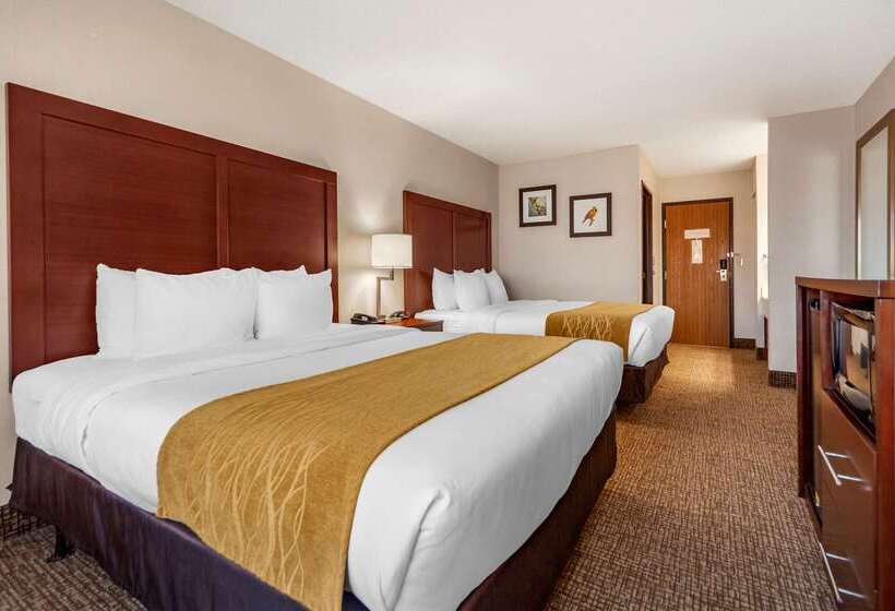 酒店 Comfort Inn Grand Island North