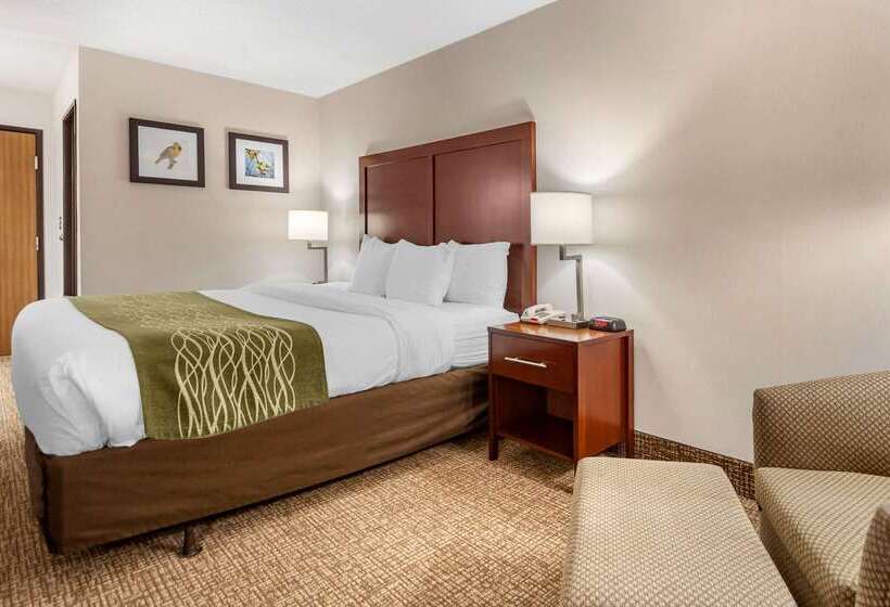 酒店 Comfort Inn Grand Island North