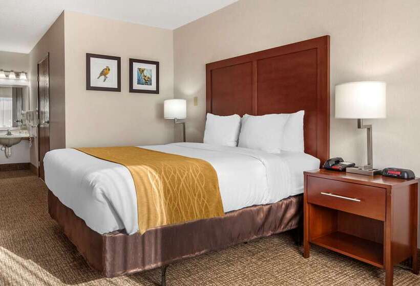 酒店 Comfort Inn Grand Island North