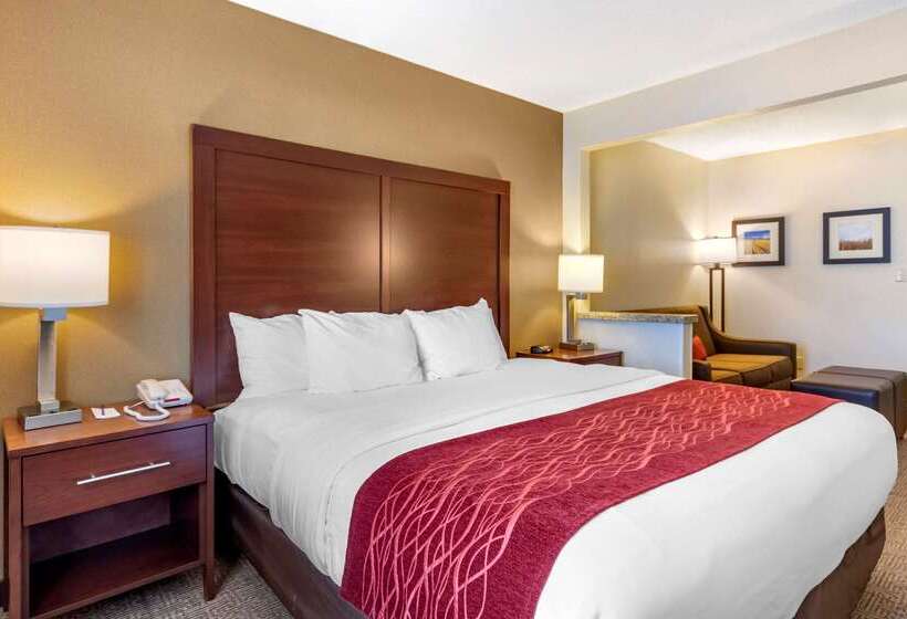 ホテル Comfort Inn