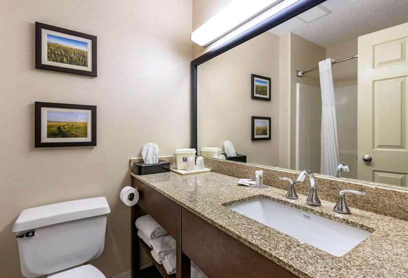 ホテル Comfort Inn