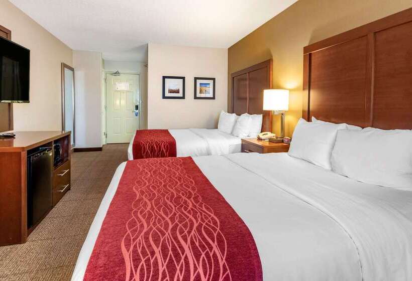 ホテル Comfort Inn