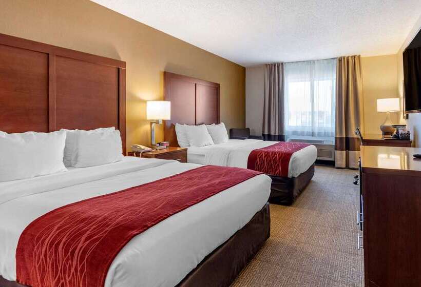 ホテル Comfort Inn