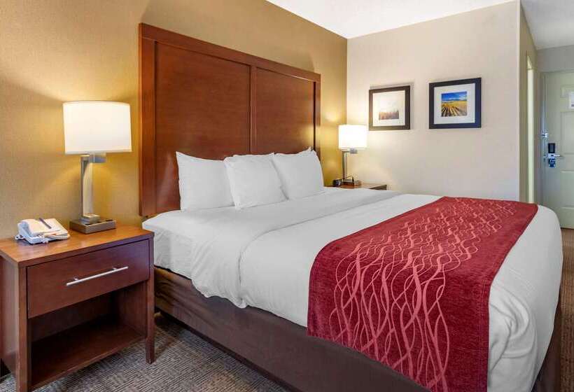 ホテル Comfort Inn