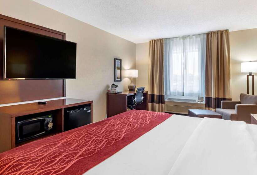 ホテル Comfort Inn