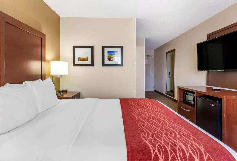 ホテル Comfort Inn