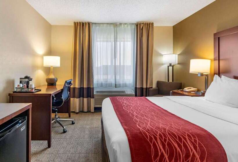 ホテル Comfort Inn