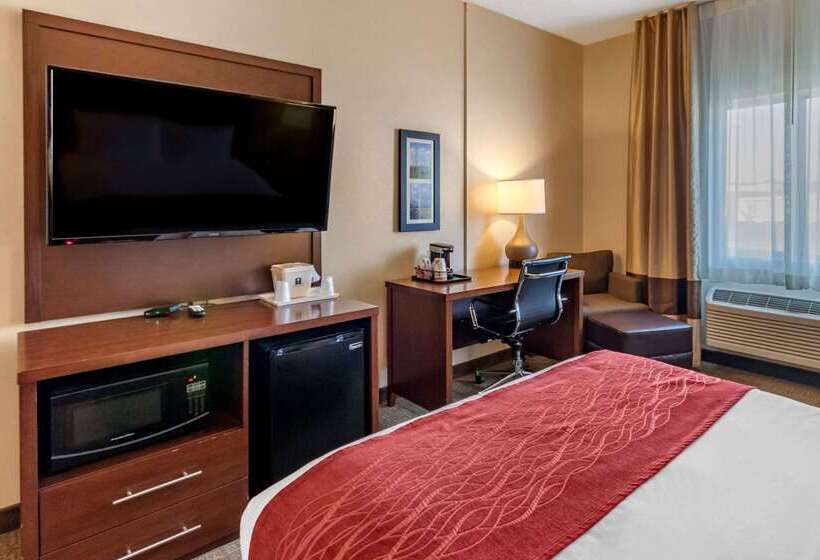 ホテル Comfort Inn