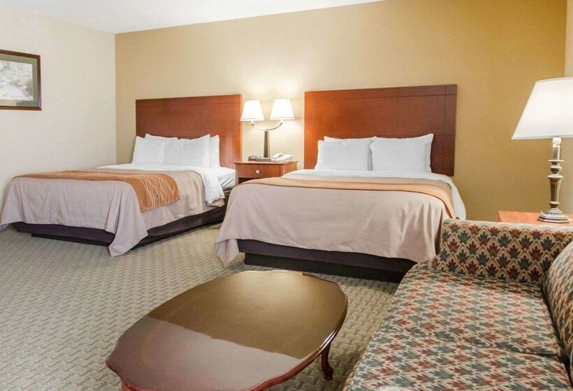 Отель Comfort Inn