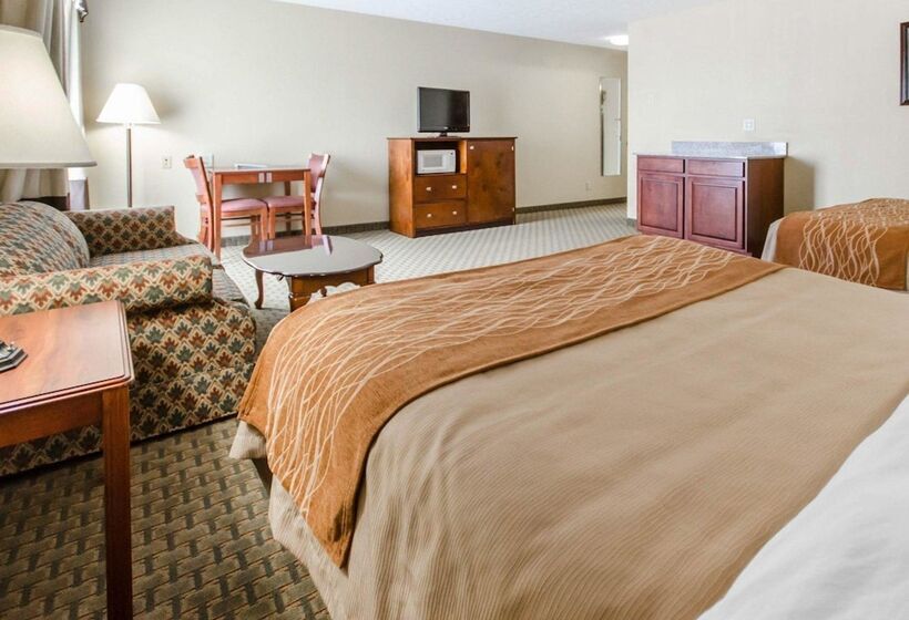 Отель Comfort Inn