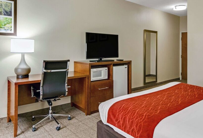 Отель Comfort Inn