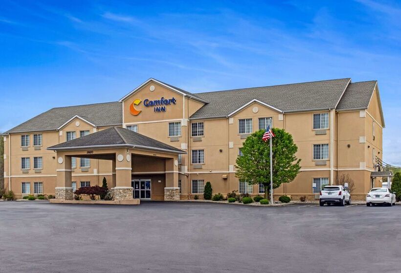 Отель Comfort Inn