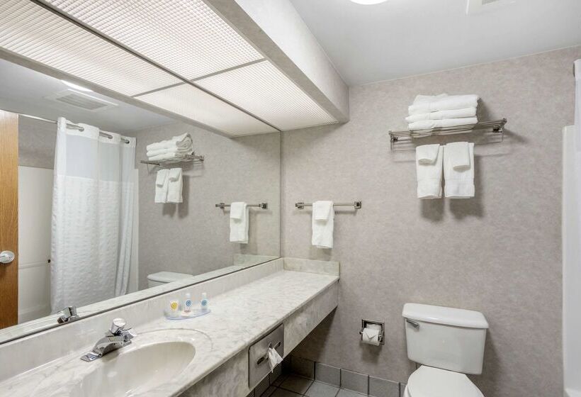 호텔 Comfort Inn