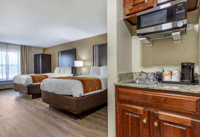 فندق Comfort Inn Near Downtown & Blue Ridge Pkwy