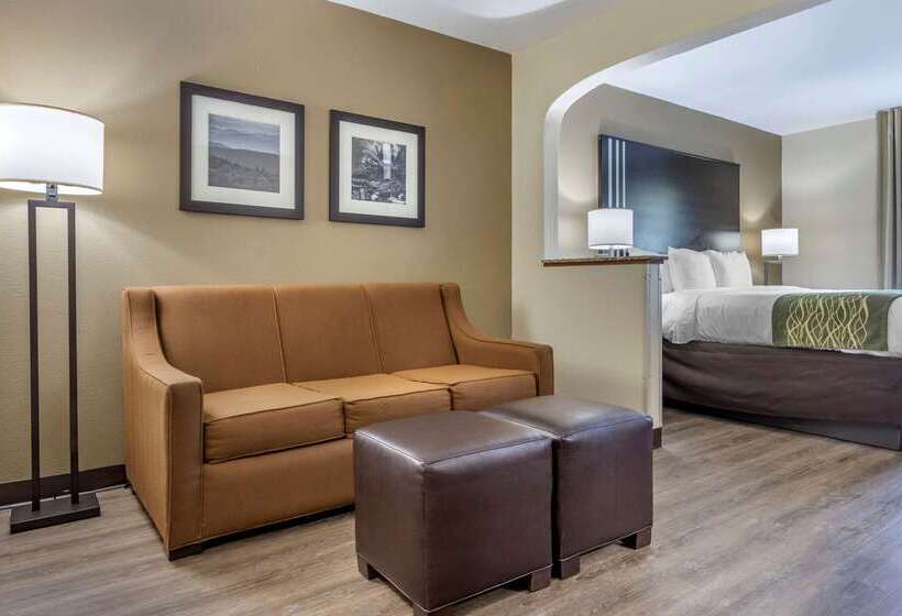 فندق Comfort Inn Near Downtown & Blue Ridge Pkwy