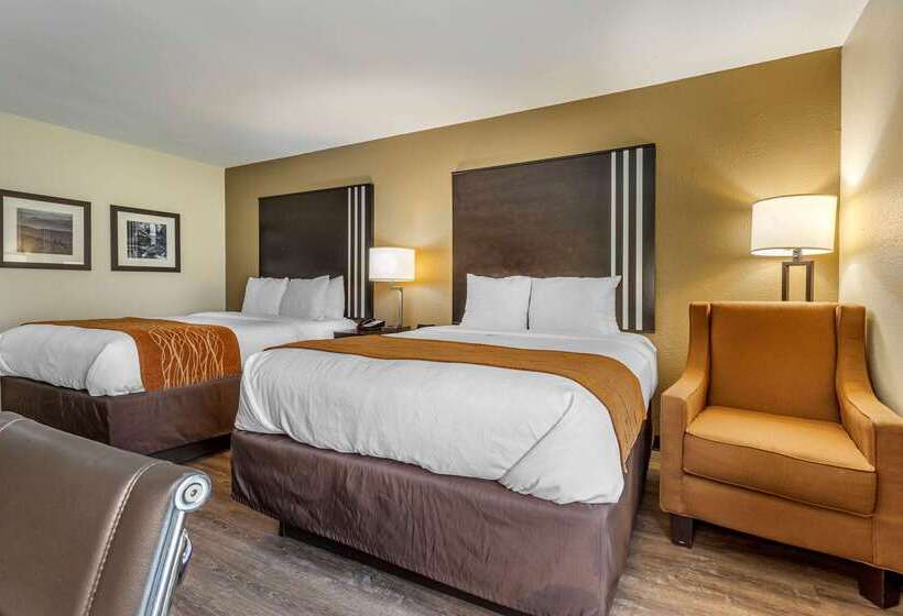 فندق Comfort Inn Near Downtown & Blue Ridge Pkwy