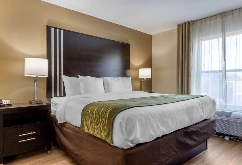 فندق Comfort Inn Near Downtown & Blue Ridge Pkwy