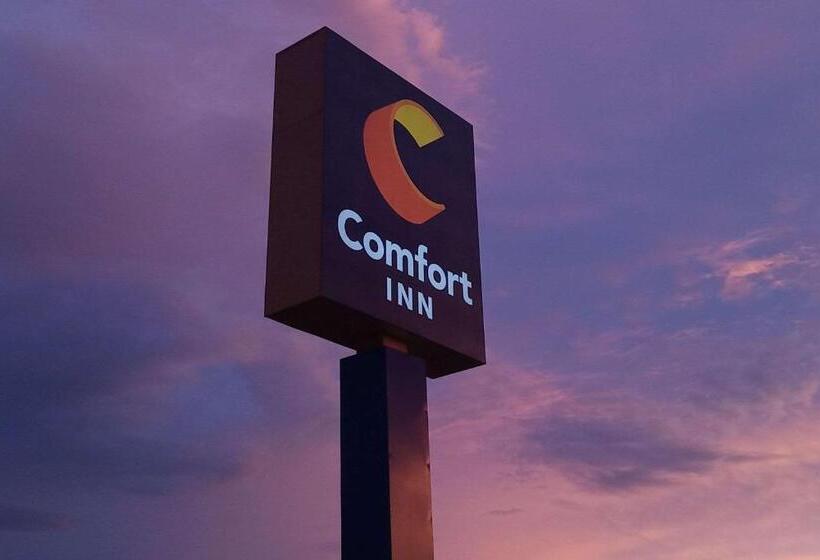 فندق Comfort Inn Near Downtown & Blue Ridge Pkwy