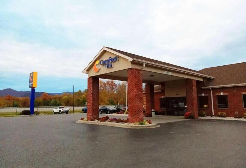 فندق Comfort Inn Near Downtown & Blue Ridge Pkwy