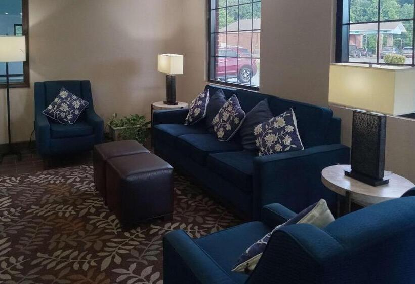 فندق Comfort Inn Near Downtown & Blue Ridge Pkwy