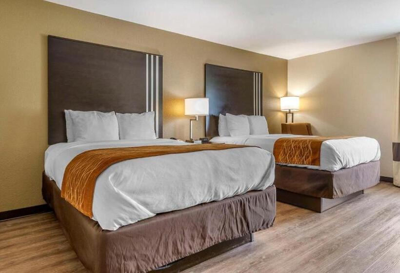 فندق Comfort Inn Near Downtown & Blue Ridge Pkwy