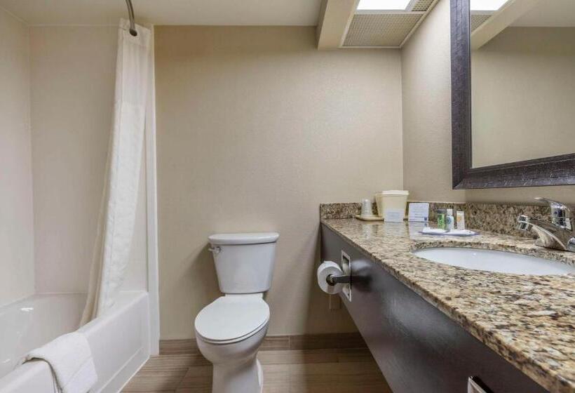 فندق Comfort Inn Near Downtown & Blue Ridge Pkwy