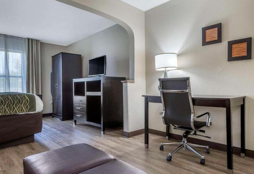 فندق Comfort Inn Near Downtown & Blue Ridge Pkwy