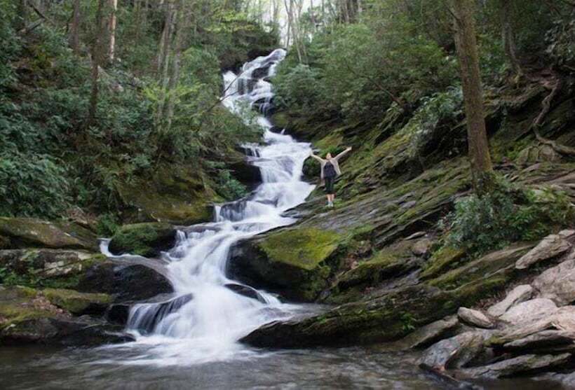 فندق Comfort Inn Near Downtown & Blue Ridge Pkwy