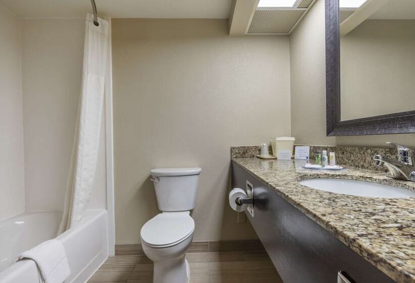 فندق Comfort Inn Near Downtown & Blue Ridge Pkwy