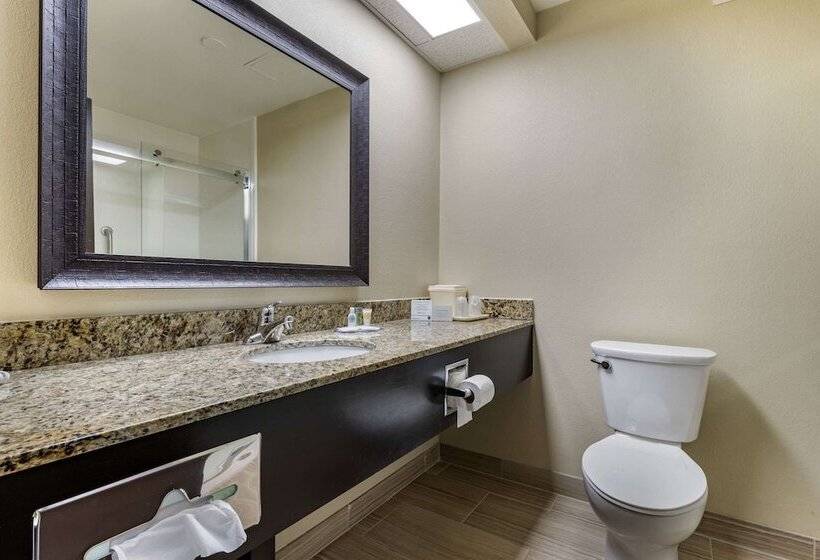 فندق Comfort Inn Near Downtown & Blue Ridge Pkwy