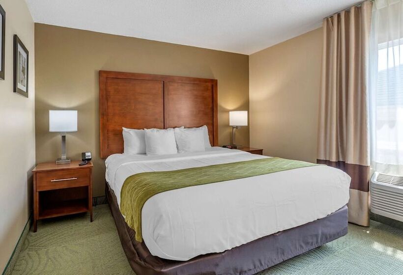 فندق Comfort Inn Muscatine Near Hwy 61