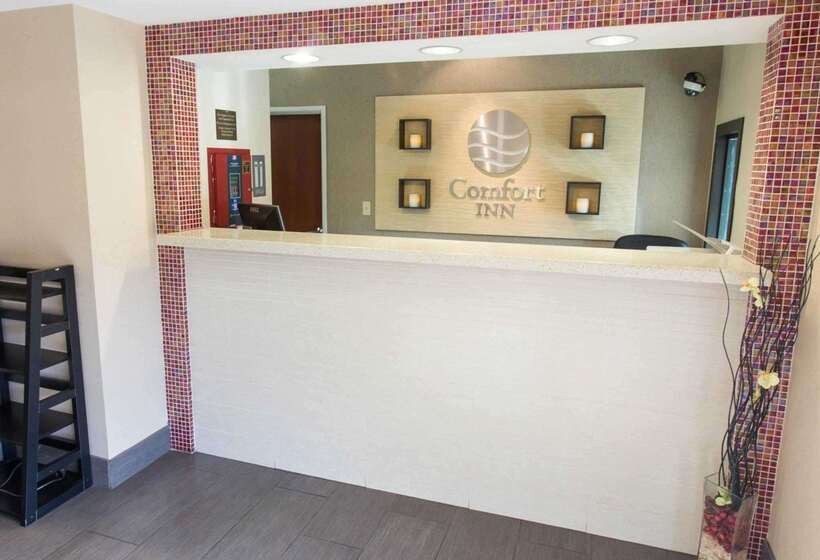 בית מלון כפרי Comfort Inn