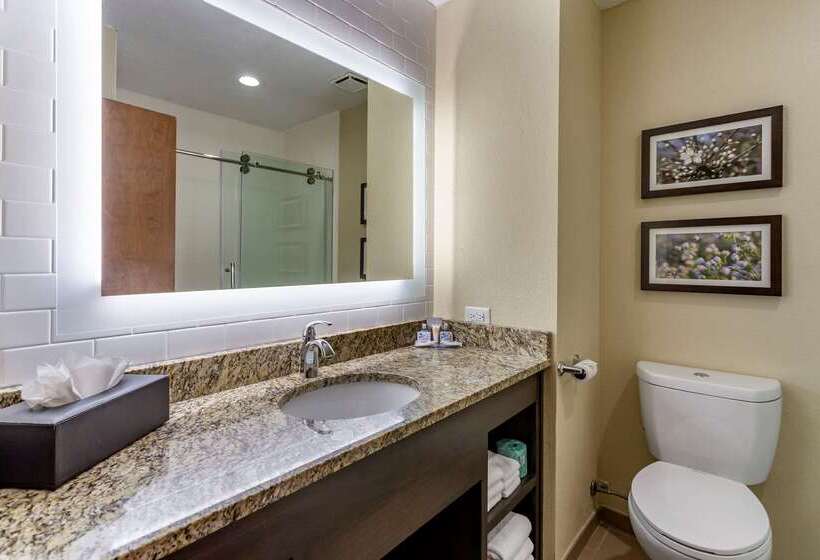 בית מלון כפרי Comfort Inn St Robert Fort Leonard Wood