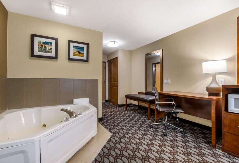 ホテル Comfort Inn Story City