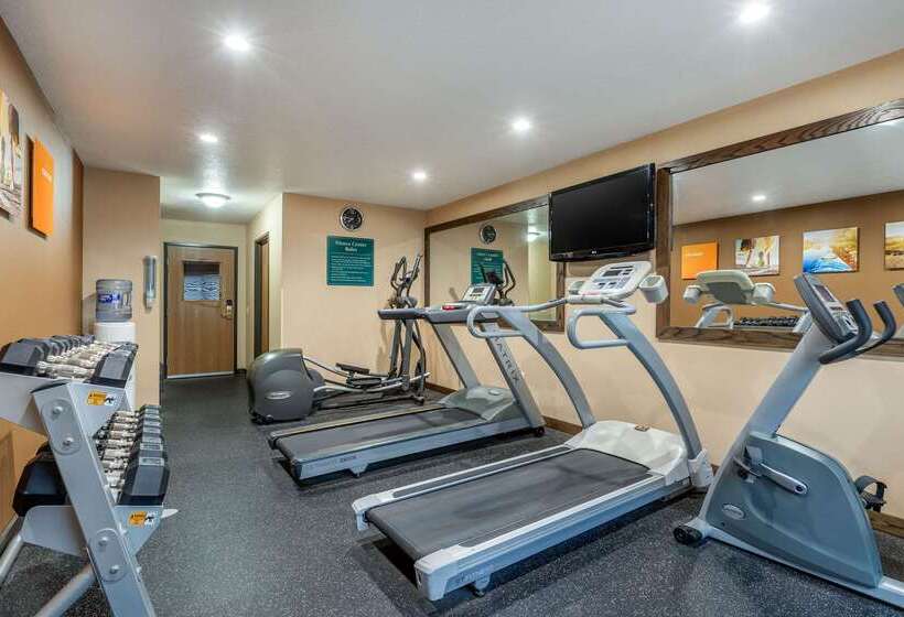 ホテル Comfort Inn Story City