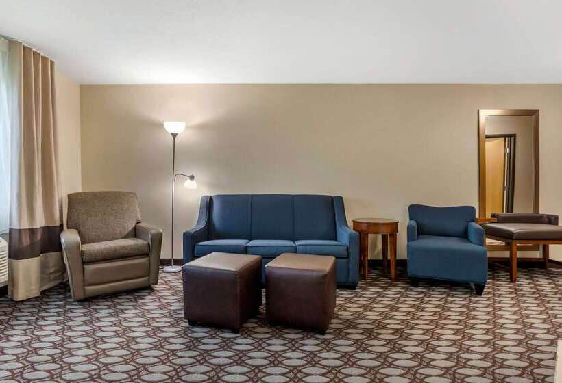 ホテル Comfort Inn Story City