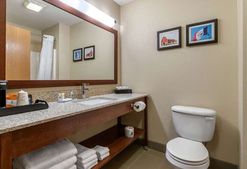 ホテル Comfort Inn Story City