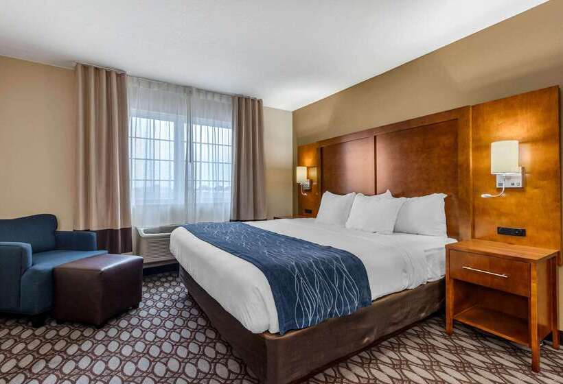 ホテル Comfort Inn Story City