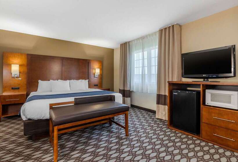 ホテル Comfort Inn Story City