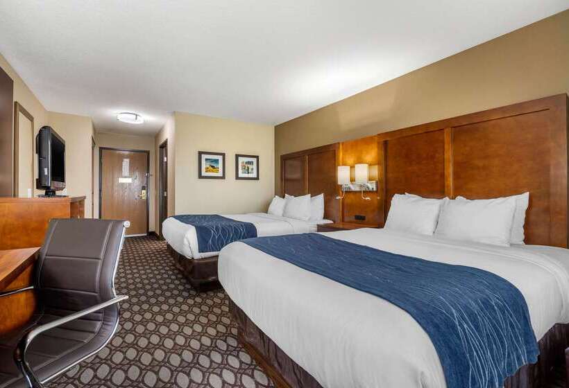 ホテル Comfort Inn Story City