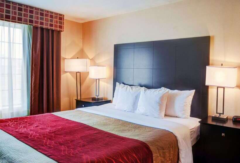 호텔 Comfort Inn & Suites