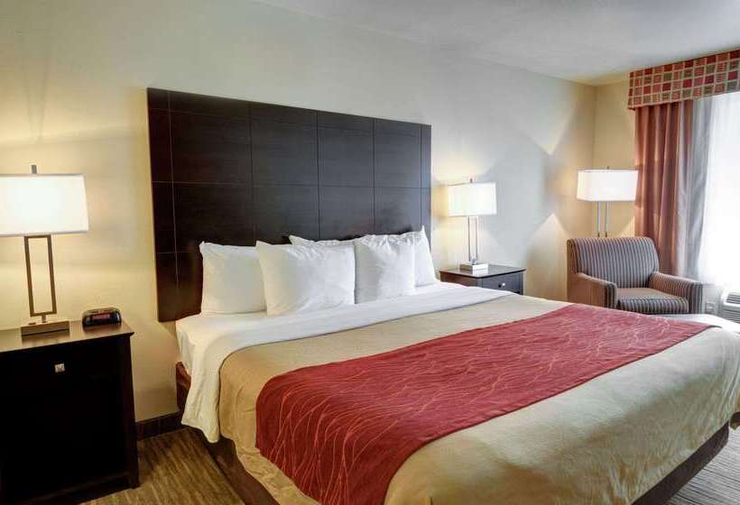 호텔 Comfort Inn & Suites